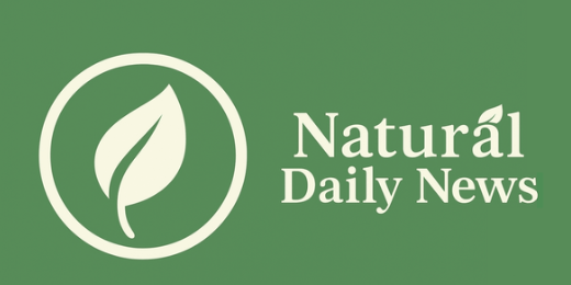 healthandcarehub.online